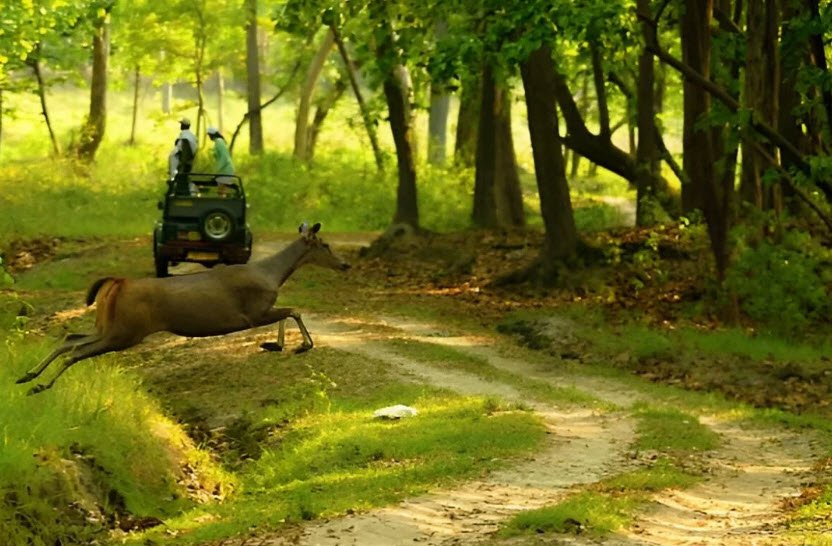 Pitman Island Wildlife Sanctuary, South Andaman, Andaman and Nicobar Islands - Vushii.com Pitman Island Wildlife Sanctuary, South Andaman, Andaman and Nicobar Islands - Vushii.com